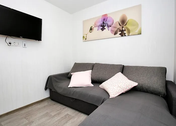 Amazing In With Wifi * Murter